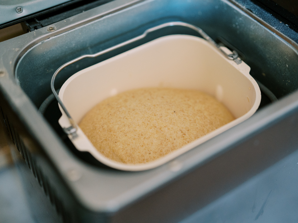 sourdough bread rising in a bread machine