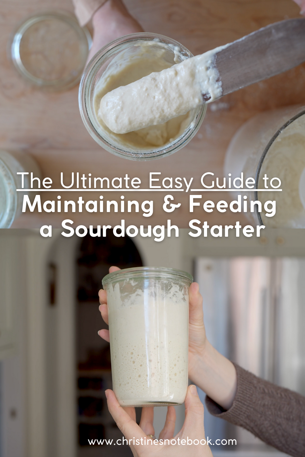 easy guide to feeding and maintaining your sourdough starter