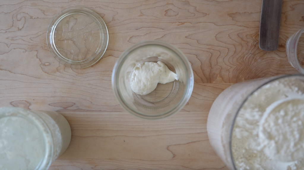 weck jar holding a small amount of sourdough starter