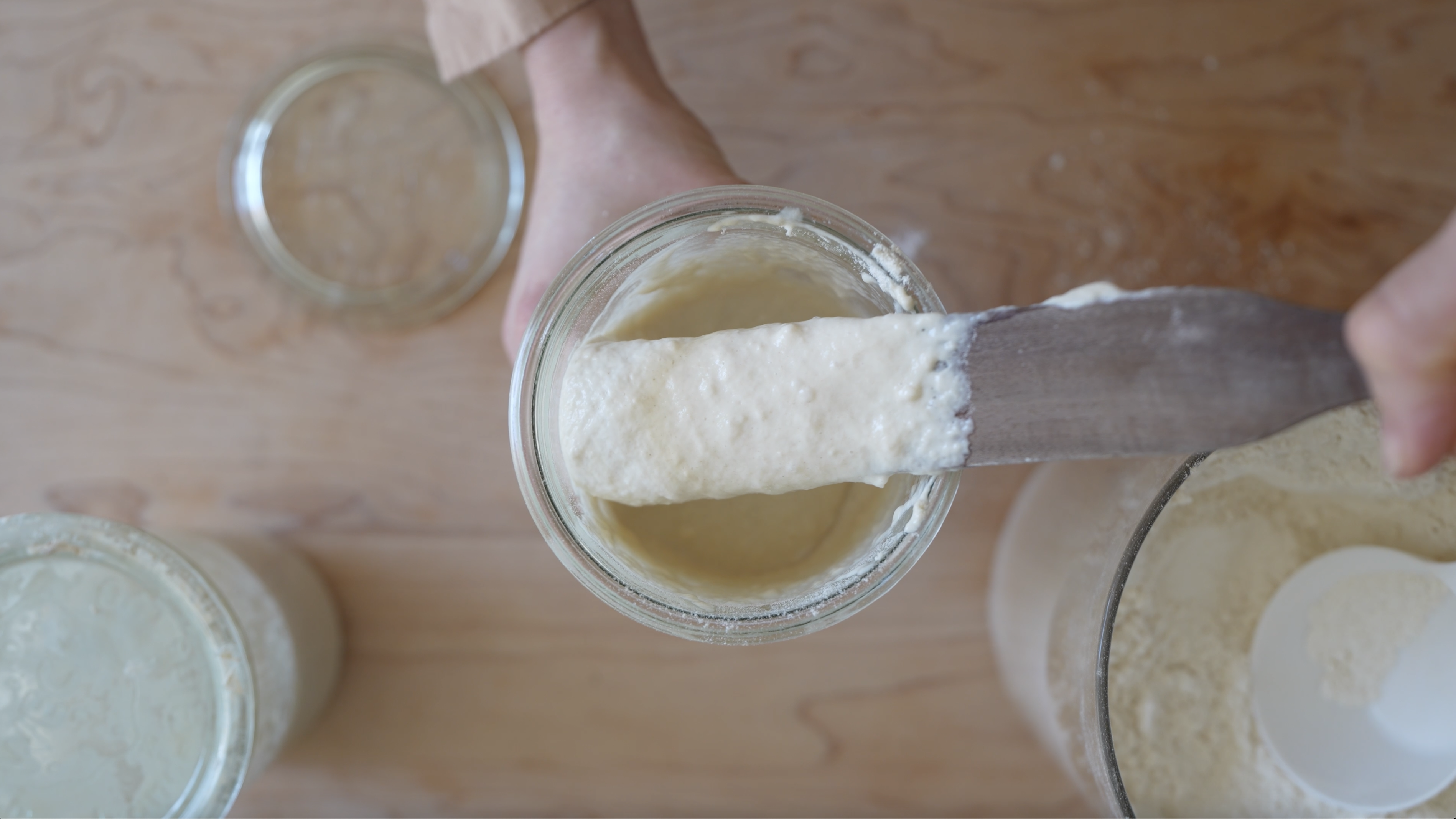 sourdough starter on a wooden spatula