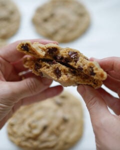 bakery-style chocolate chip cookies with freshly milled flour