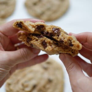 bakery-style chocolate chip cookies with freshly milled flour