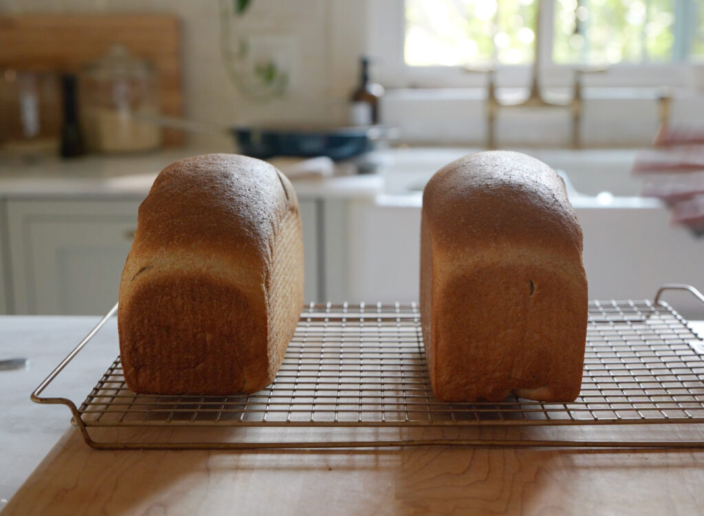 fluffy sandwich bread with freshly milled flour cooling on counter
