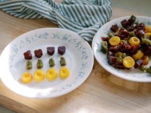 Making Homemade Healthy Fruit Snacks