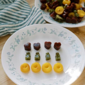 Making Homemade Healthy Fruit Snacks
