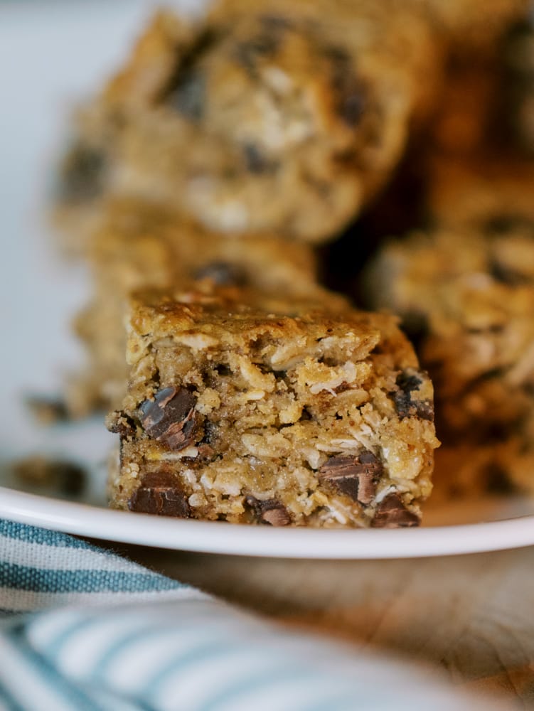 easy lactation bars that taste like a cookie