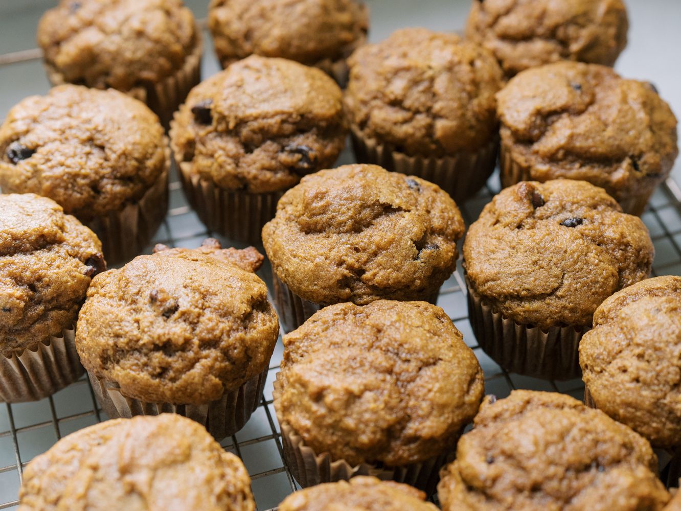 Fresh-milled pumpkin banana muffins with chocolate chips, sliced open to show a moist, fluffy texture on a blue floral plate.
