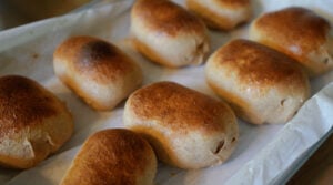sourdough yeast buns