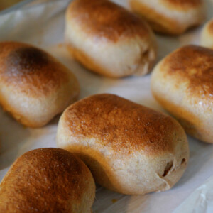 sourdough yeast buns