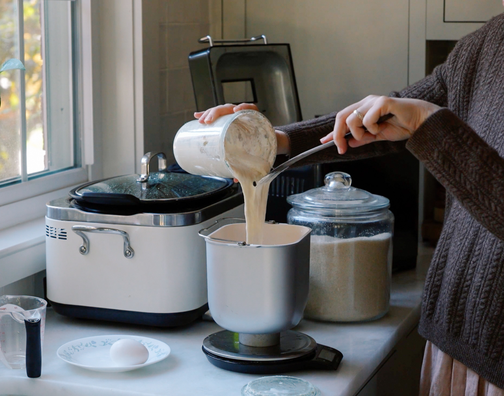 sourdough yeast buns
