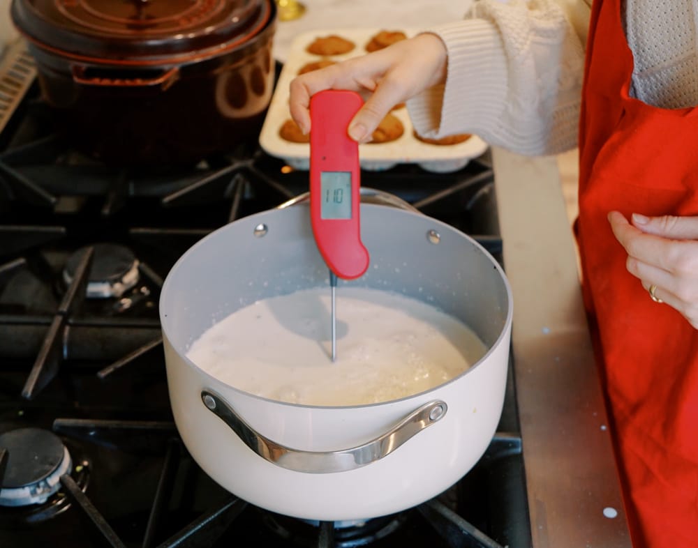 homemade vanilla bean ice cream