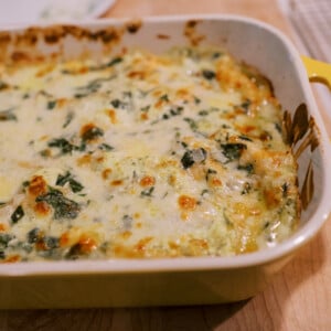 White Chicken Lasagna with Creamy Pesto Filling