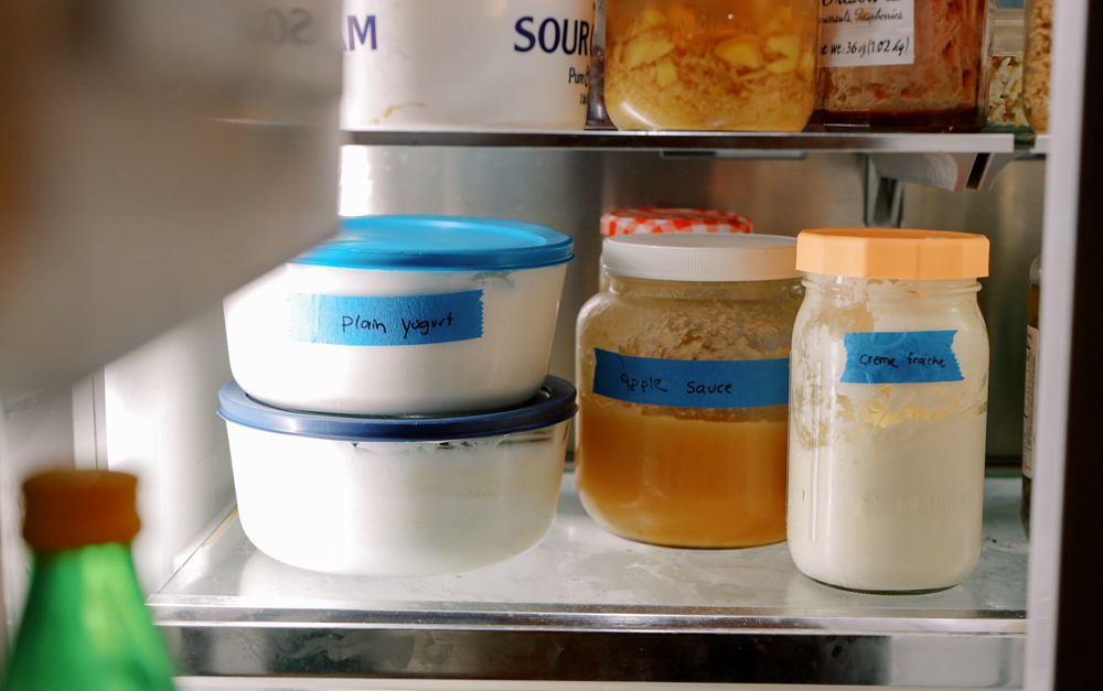 homemade greek yogurt in the refrigerator