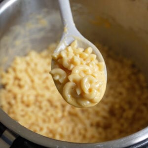 Instant Pot